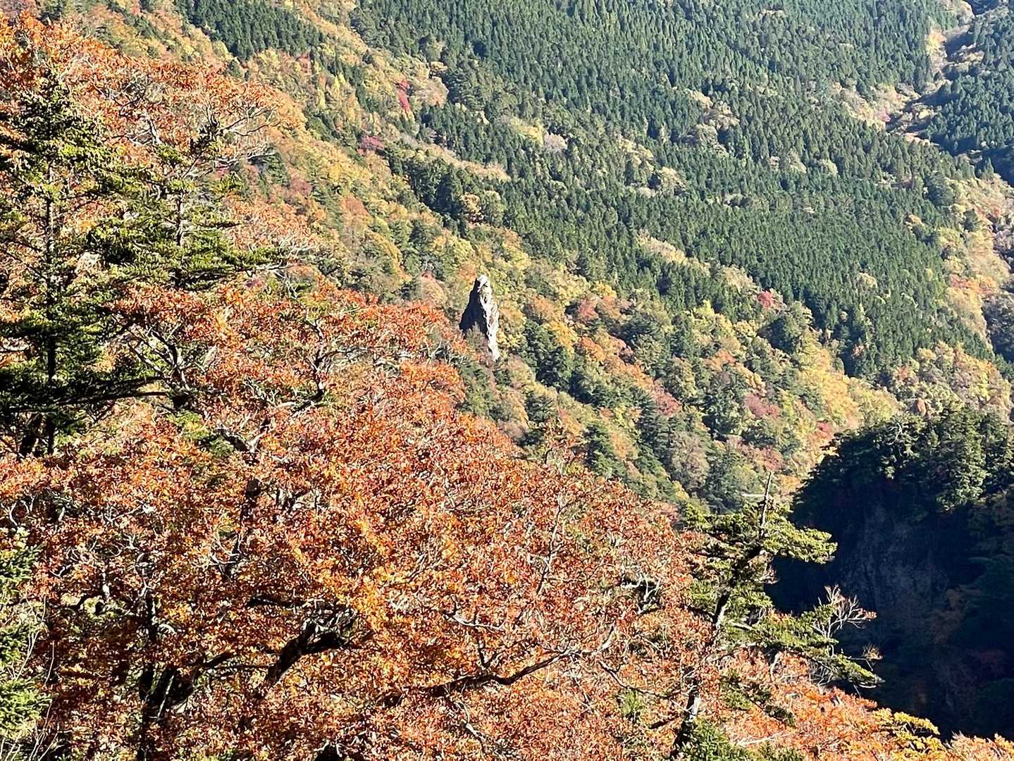 天柱石周りがとても綺麗🍁