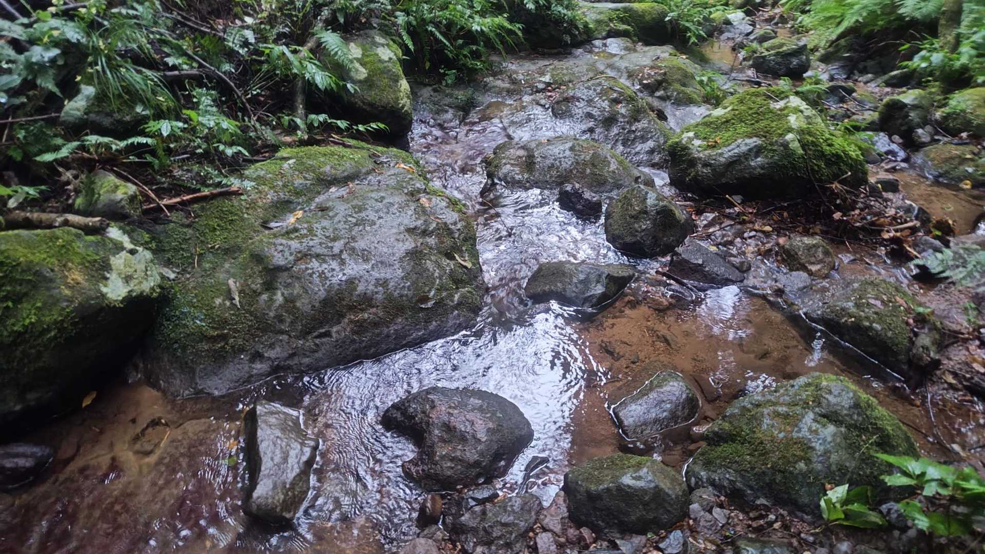 角田山（湯之腰登山口）<湯之腰コース>の写真