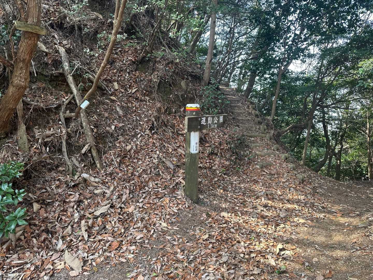 安芸中野駅-成岡登山口-天狗防山-洞所山-新峠-古峠-城山 縦走コースの写真
