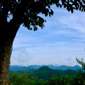 これは大岳山方面