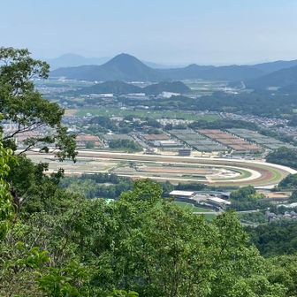 子鶏冠山からは栗東のトレーニングセンターがよく見えます。
めちゃくちゃ大きい！