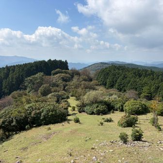 経ヶ峰の先のピークを取って、バリルートも笹子山まで周回出来るルートがあるみたいなので、行ってみることに✊
