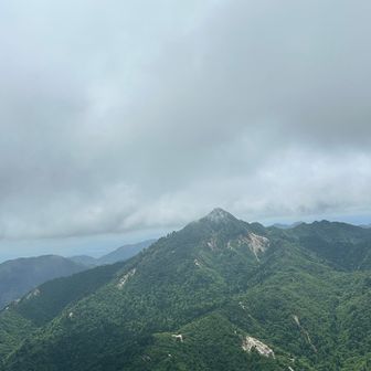 鎌様
