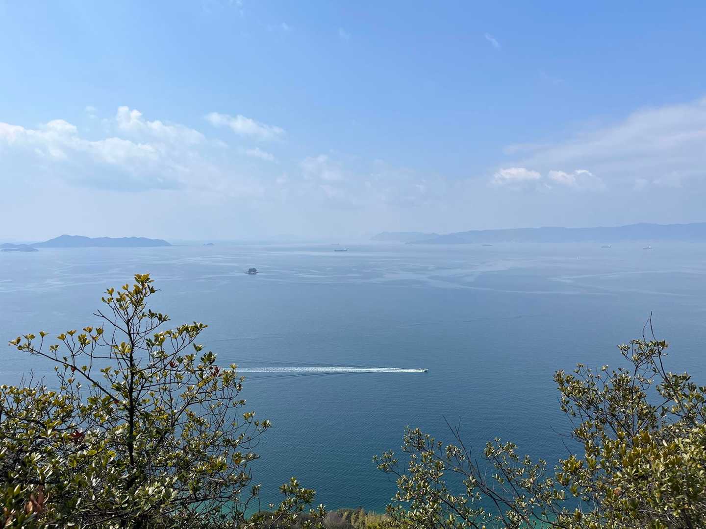 海には美しい航跡が描かれていく。