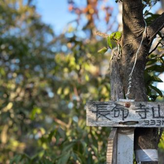 さぁ、追いかける