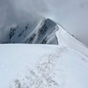 振り返ってみる