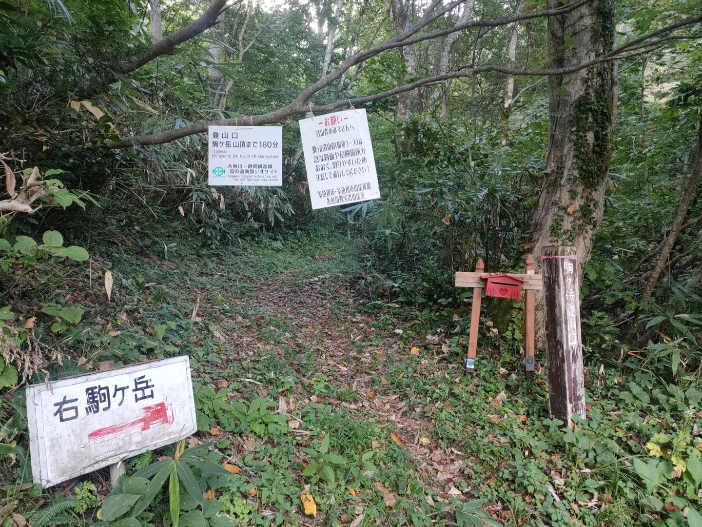 ストック忘れで初っ端から嫌な予感...