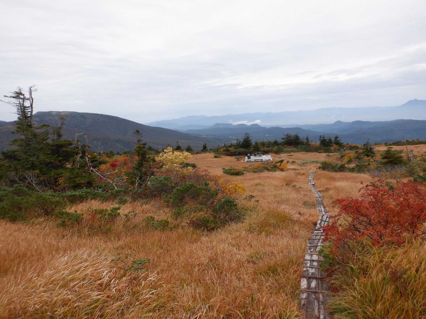 毛無岱湿原の丸沼付近の休憩所