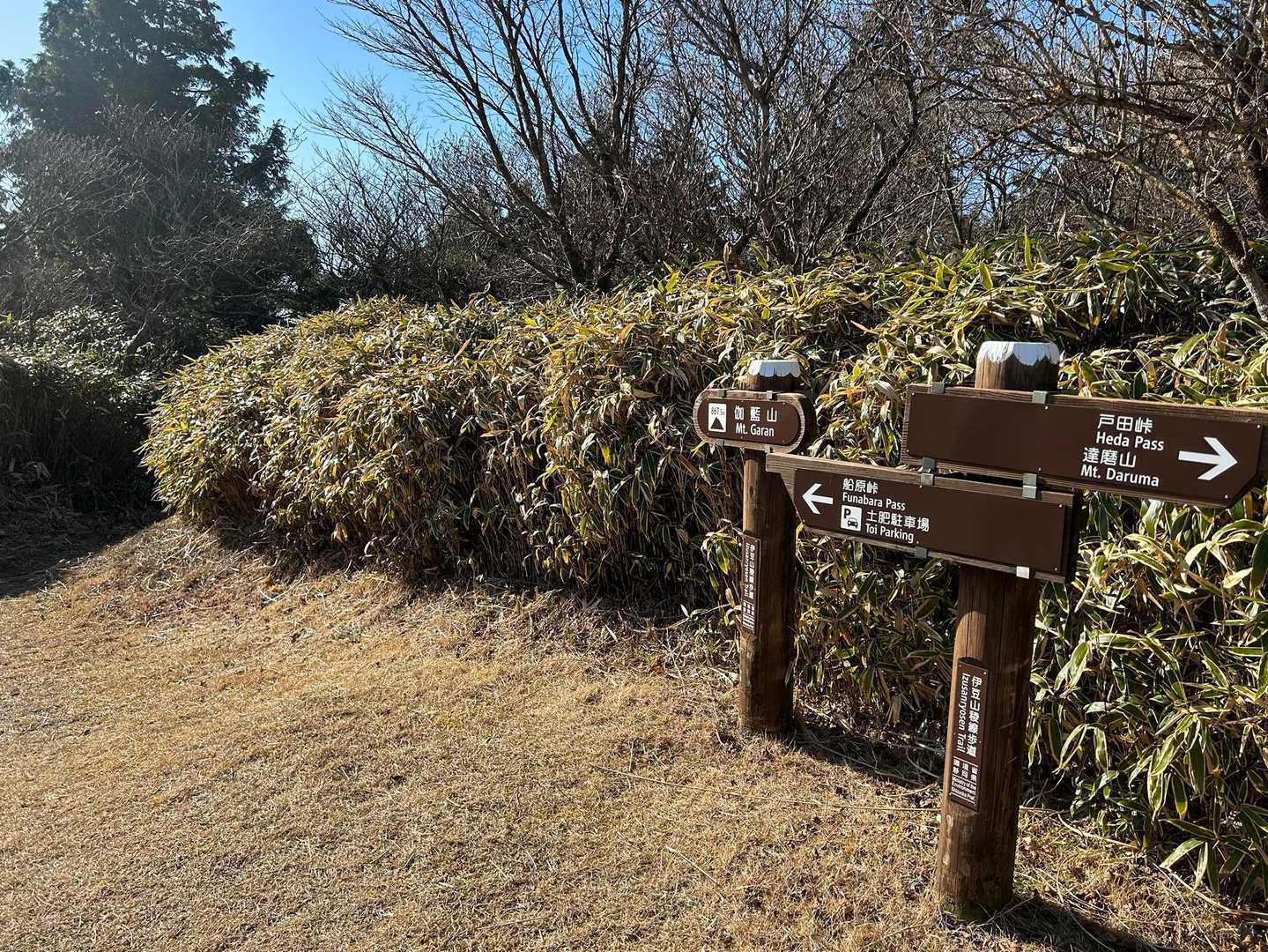 再び登山道へ
毎回標識がありますので安心です。