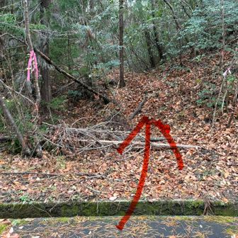 鷹巣山登山口　ピンテがある