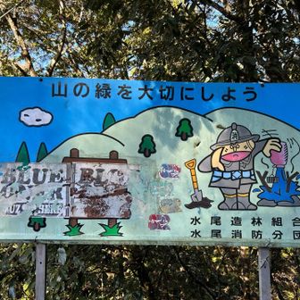 今日はここまで