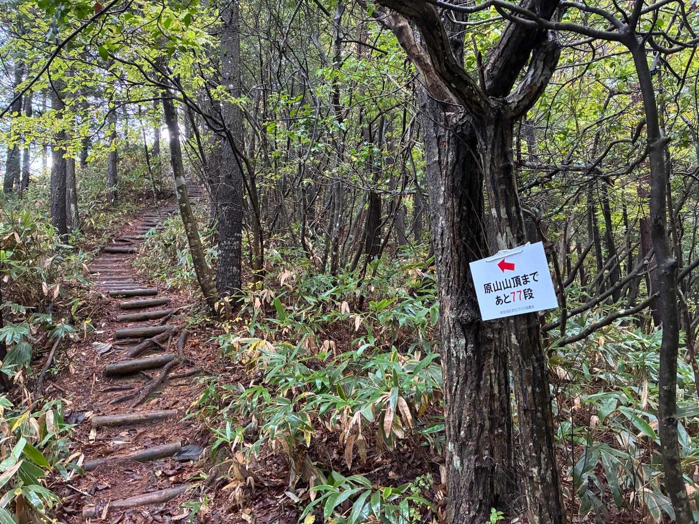 山頂まで77段の看板💪🏻