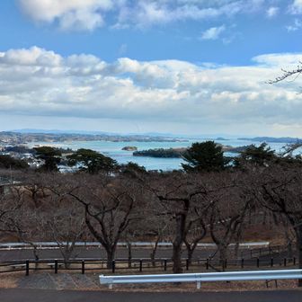 コース途中からの松島湾