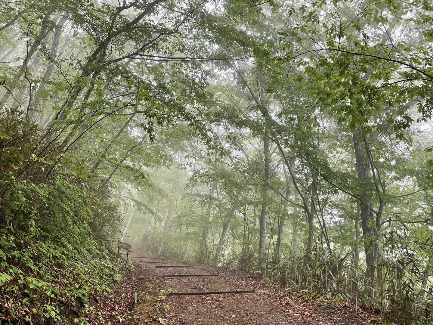 牧野登山口-高柴山 往復コースの写真