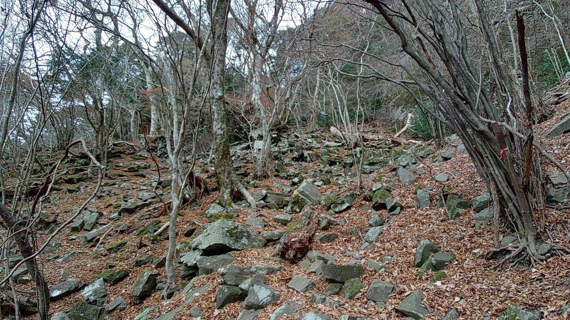 奉幣殿-中津宮-英彦山-鬼杉-玉屋神社 周回コースの写真