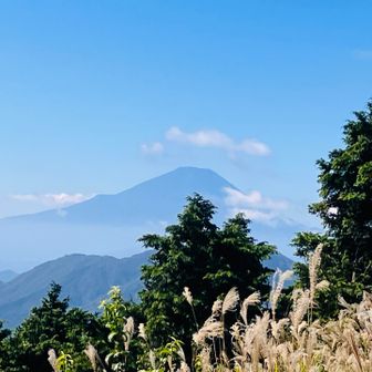 烏尾山からの富士山