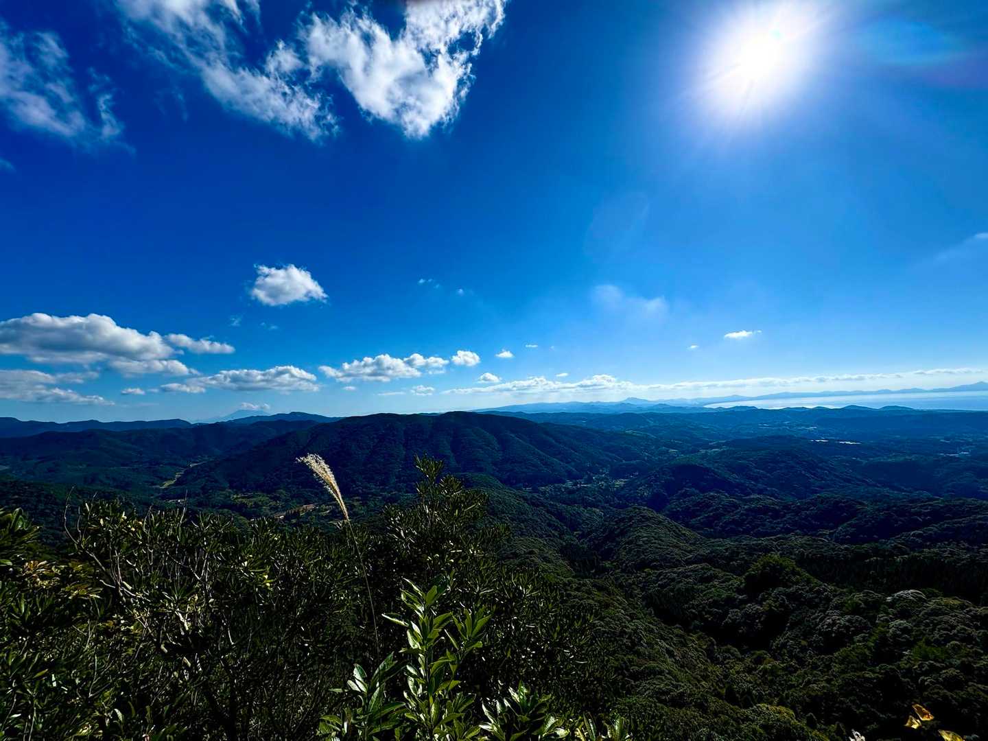 桜島も見えます👀