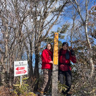 なんとまぁ……ここに西峰の標柱立ってました。
あんなに苦労したのに💦