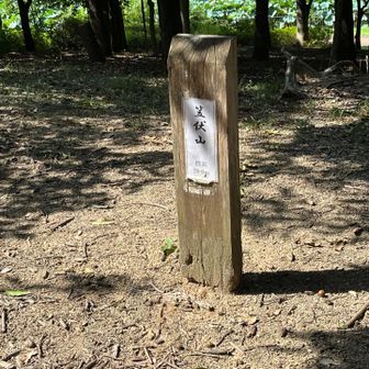 　山頂です。
小笠山に向かいます。