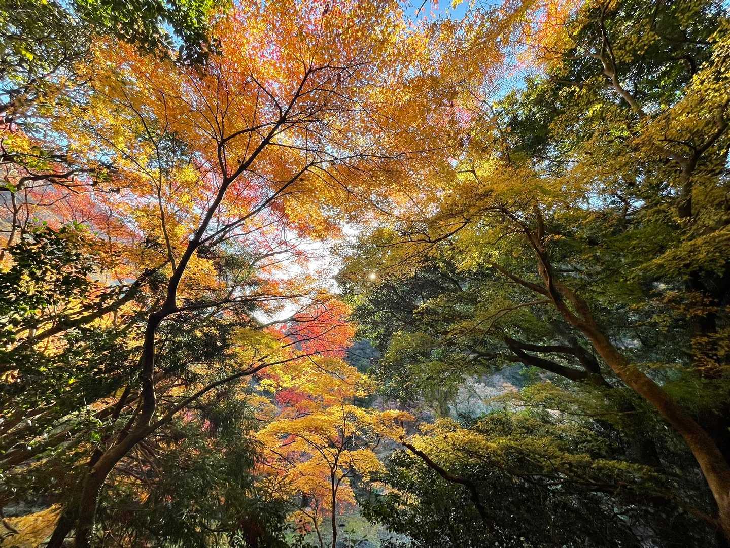 鎌ヶ岳 往復コースの写真