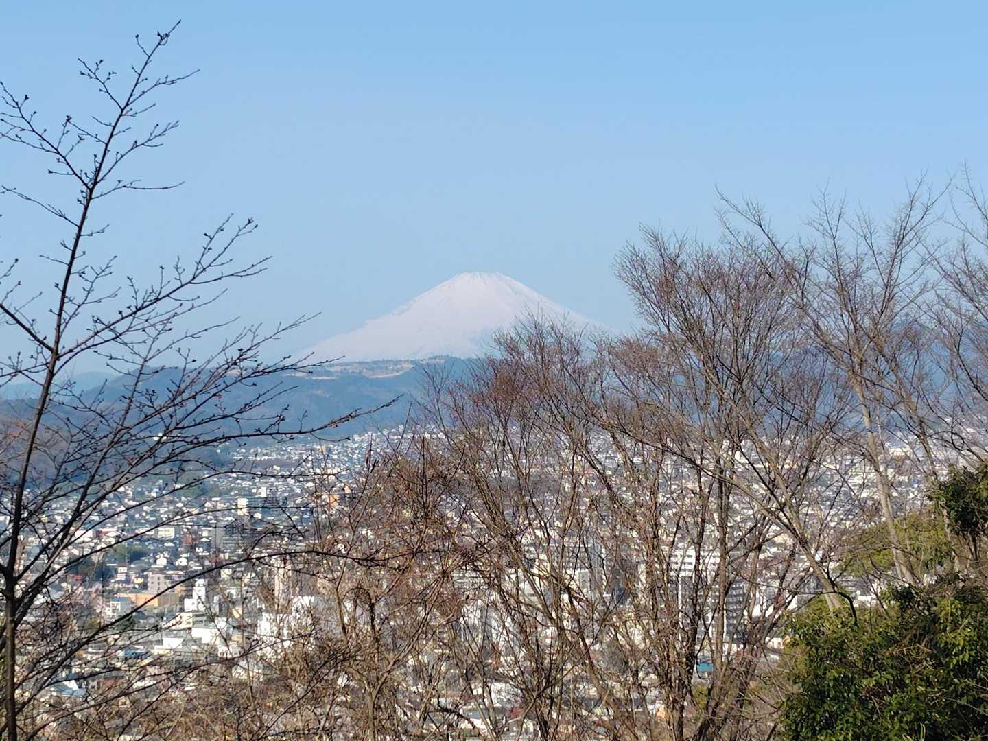 早速、富士山登場🤭