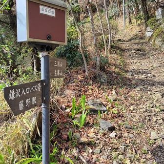 林道終わって山道に