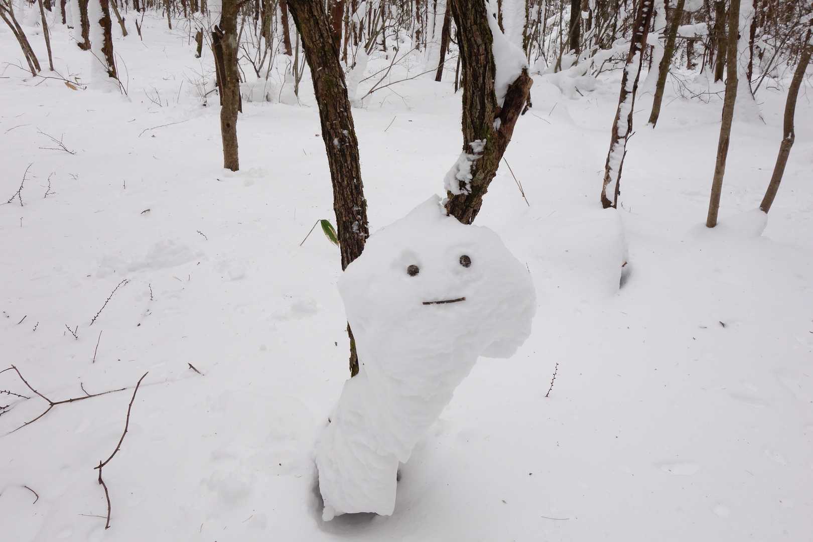 さて今回は皆さんのレポを真似て、雪の妖精造りにチャレンジ。
相方と頑張りました（笑）

こいつはニョロっと出てきた妖精ですね。