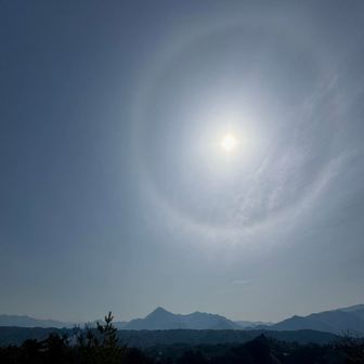 今日はハロです🌈
