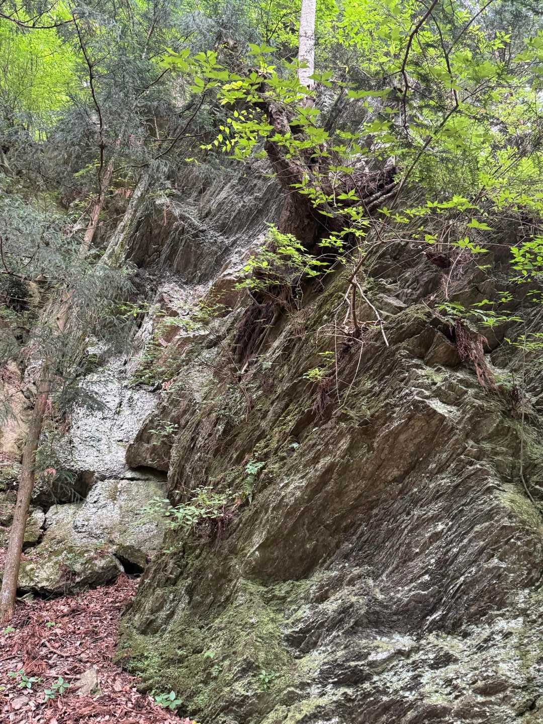 大きな岩🪨
名前があるんかなぁ🤔