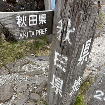 秋田に