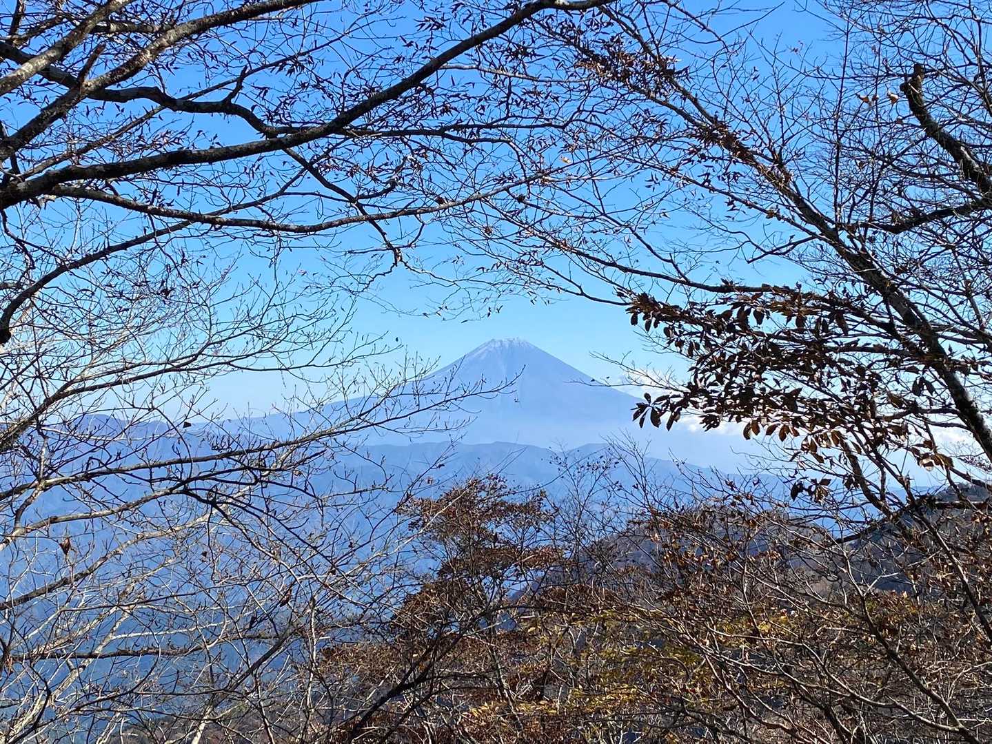 隙間から富士山🗻