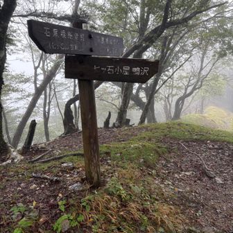 さあ、下山しなくては。

下山口まで、またまだ先は長い。