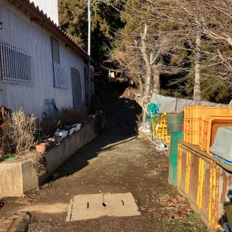 お酒屋さんの裏手が登山口