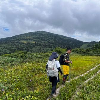 オオシラビソがまばらに生える山頂からの斜面は垂涎のBCスロープ