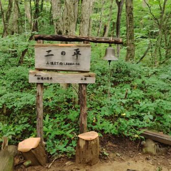 二の平、ここも丸大椅子ありました