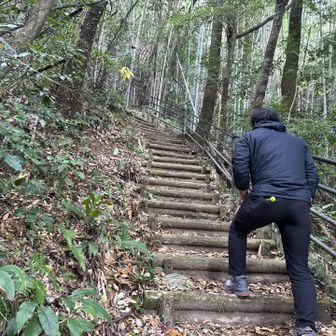 今日の相棒👍
これから先地味〜に急登😅