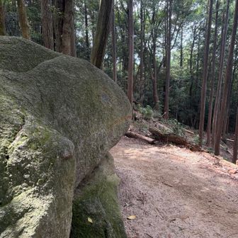 カエル岩
口と目が書いてある🐸