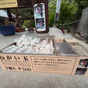 ねがい玉は全てハズレ😇

願いは自分のチカラで叶えるもん！😙