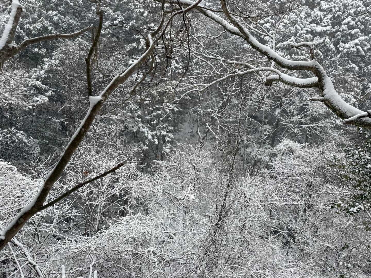 幻想的