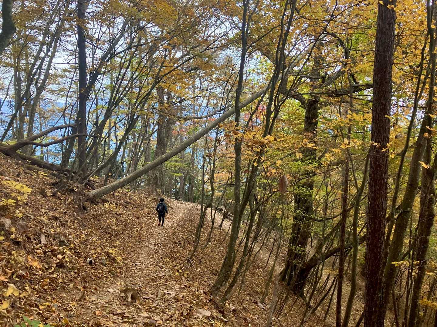 下山しま〜す🏃🏃