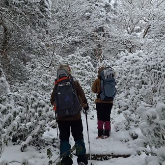 登山道の雪は週末の暖かさで明らかに少なくなってました😅