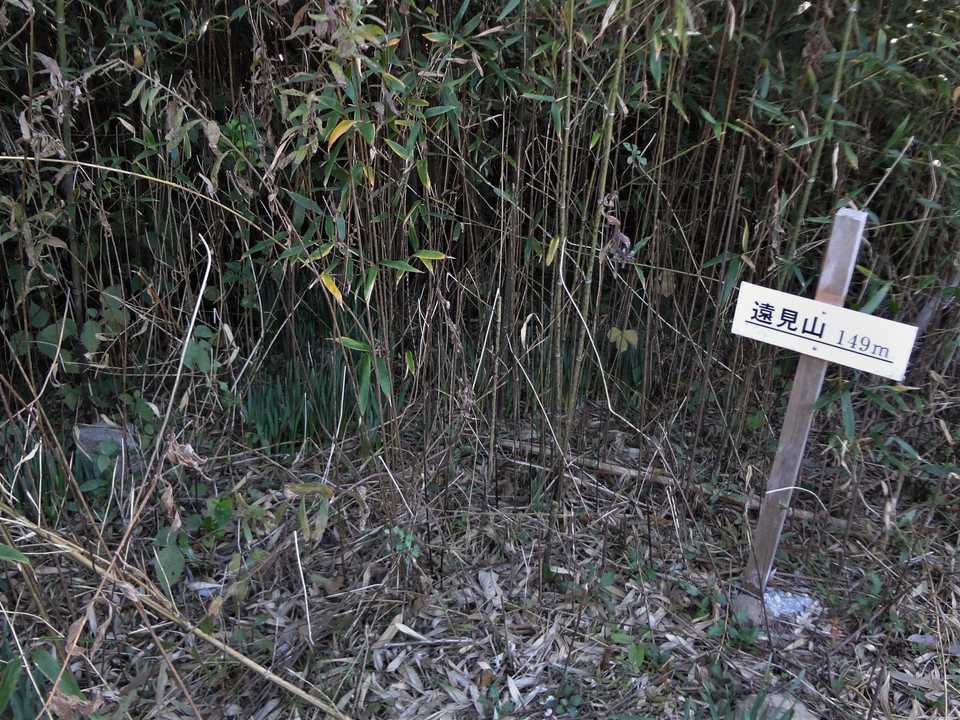遠見岳 標高 149.3m、四等三角点(基準点名：沖之島)。左端に三角点が写ってます😓