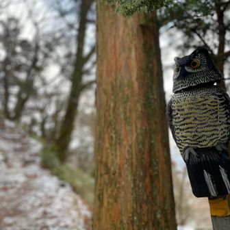 行ってきまーす