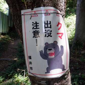 熊に注意しましょう🐻