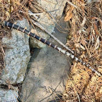 何かと思えば竹の根でした。
黒くて節があるから、一瞬気持ち悪く見えたわ。