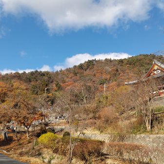 雲上殿下の駐車場から行きます🚶
