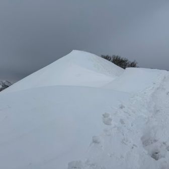 冬限定ソフトクリーム🍨
青空ないと映えない