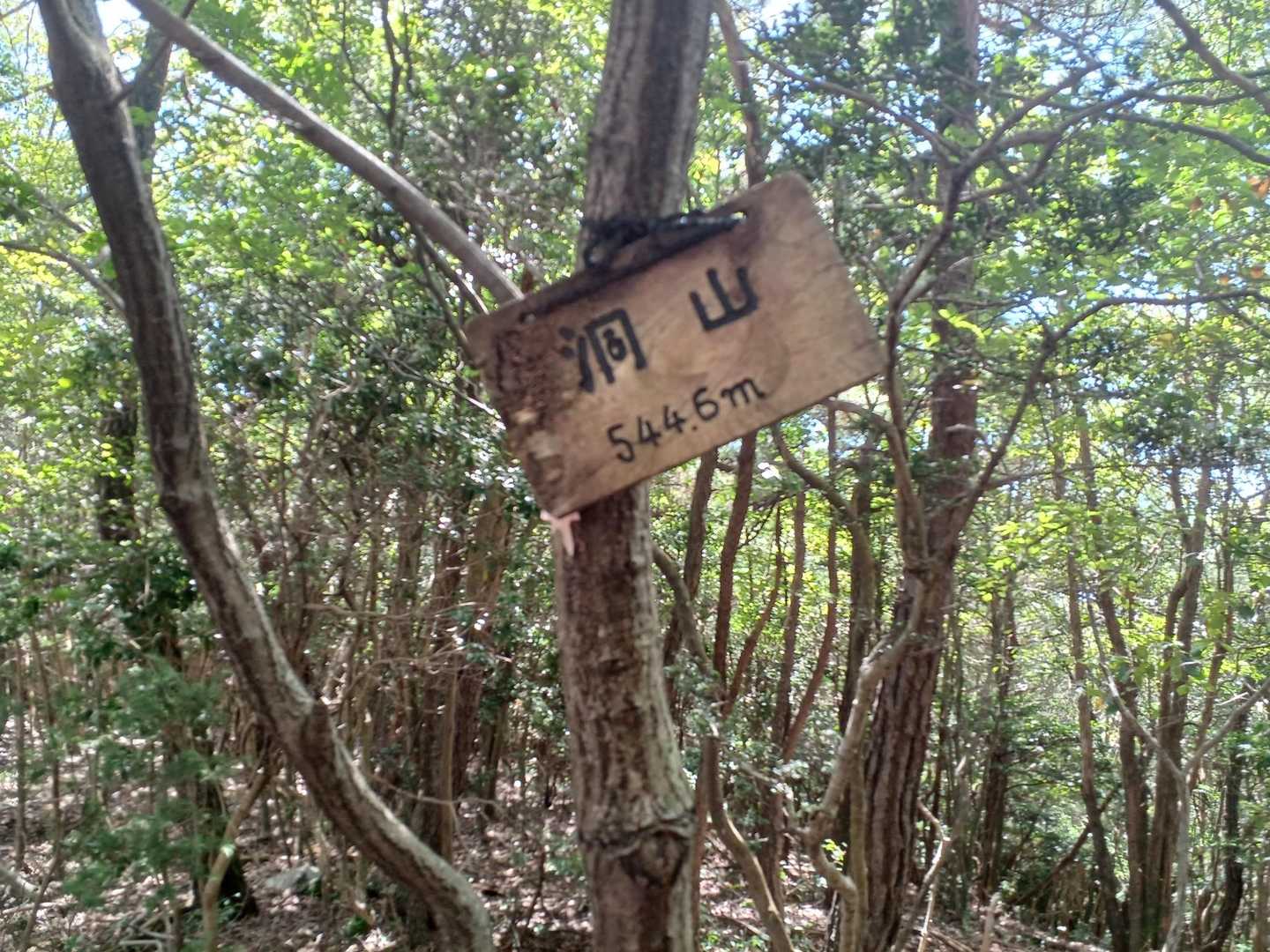 頂上