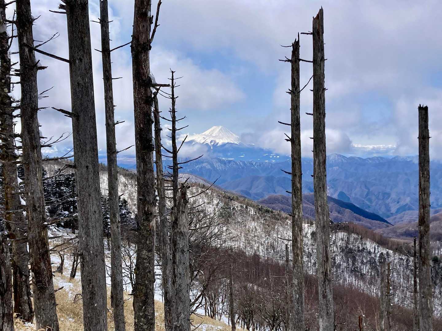 キレイに見えるうちに！と山頂手前で富士山📷
美しい…