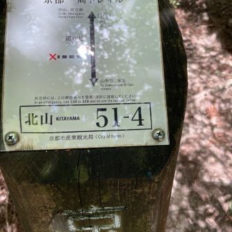 コレコレ、51-4から登ったら本物ピーク🤣
